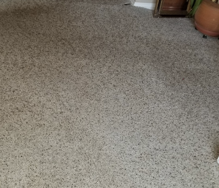 New carpet installed.