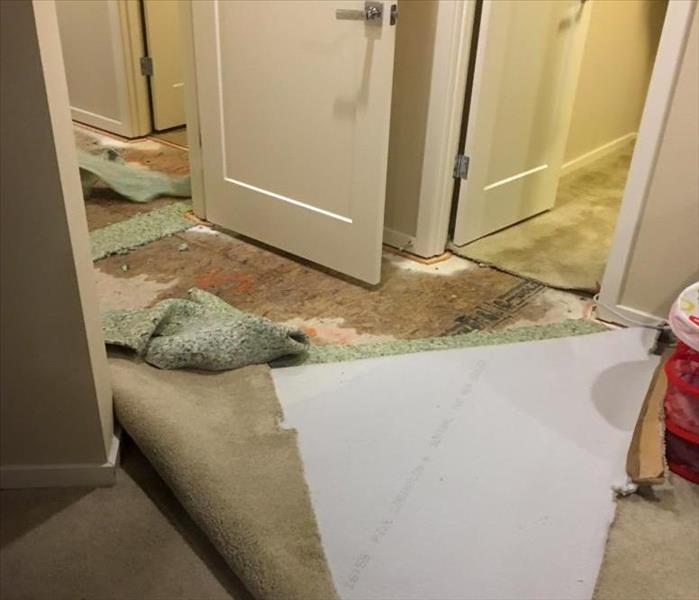 Carpet ripped up and wet floors.